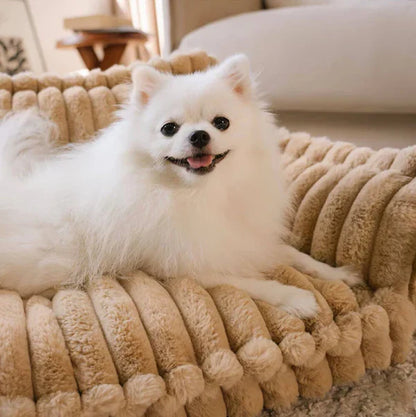 Soft sofa bed for dogs